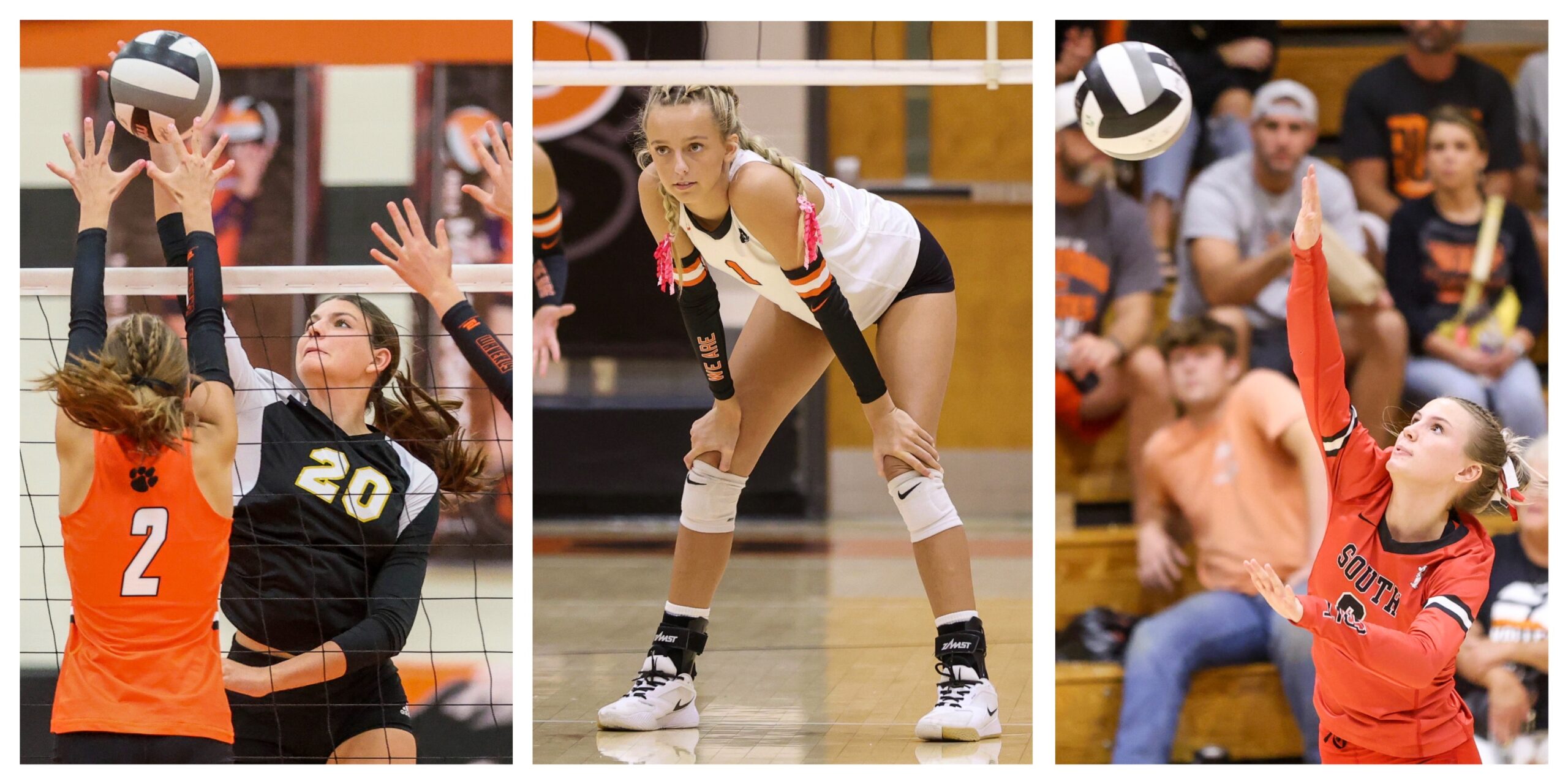Butts, Perkins, Claxon headline District 14 volleyball selections